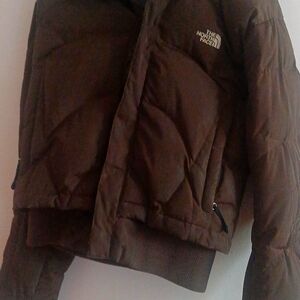 Jaketes the north face